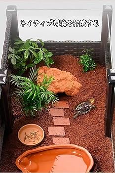 Amazon | 亀の飼育ケージ リクガメ ケージ 大型 オープンガラス